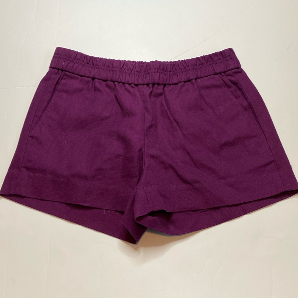 EUC jcrew shorts